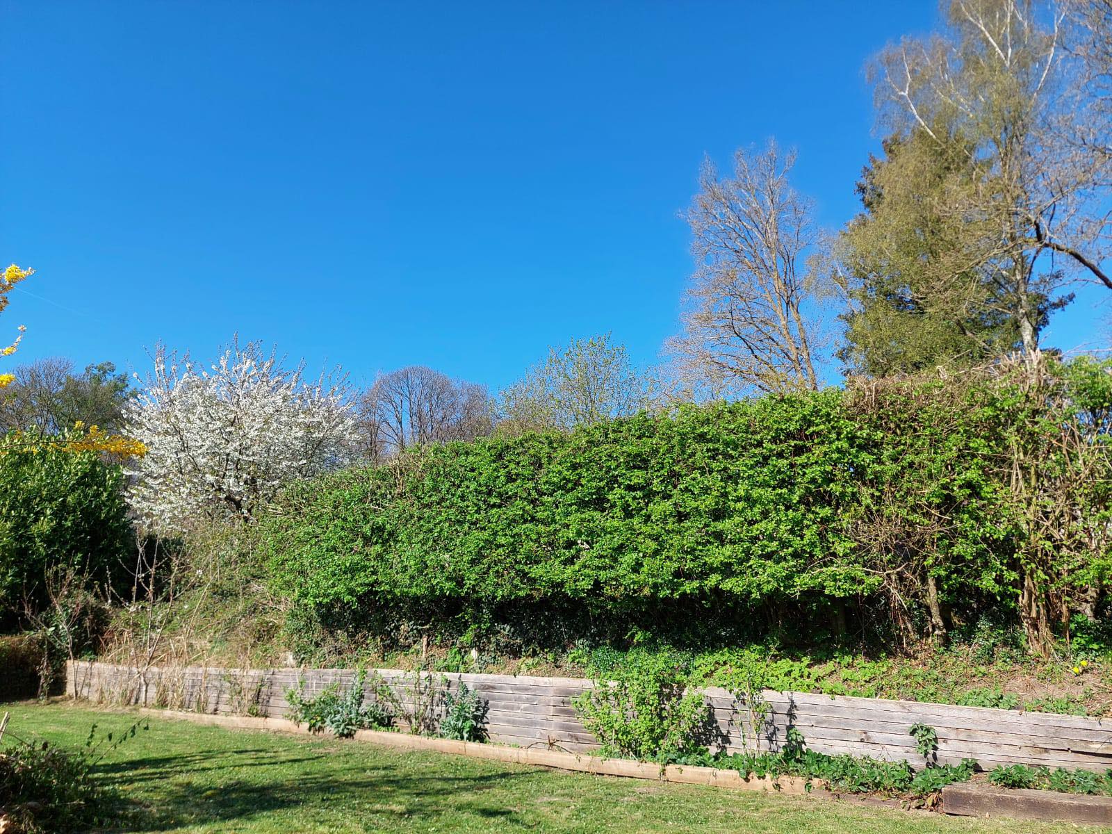 Jardin entretenu par Matterre