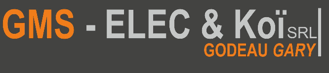 GMS-Elec & Koï SRL